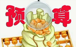 預(yù)算管理